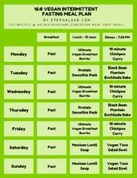 16_8 Vegan Intermittent Fasting Meal Plan Example