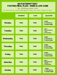 20_4 Week 2 Low Carb Intermittent Fasting Meal Plan Example