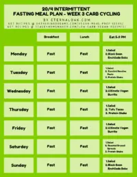 20_4 Week 3 Carb Protein Cycling Intermittent Fasting Meal Plan Example