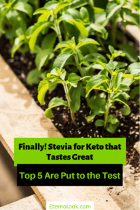 Finally! Stevia for Keto that Tastes Great - Top 5 Are Put to the Test