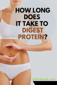 How Long Does It Take To Digest Protein_