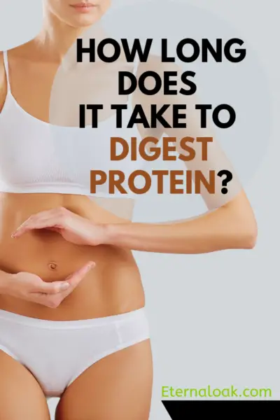 How Long Does It Take To Digest Protein Eternal Oak