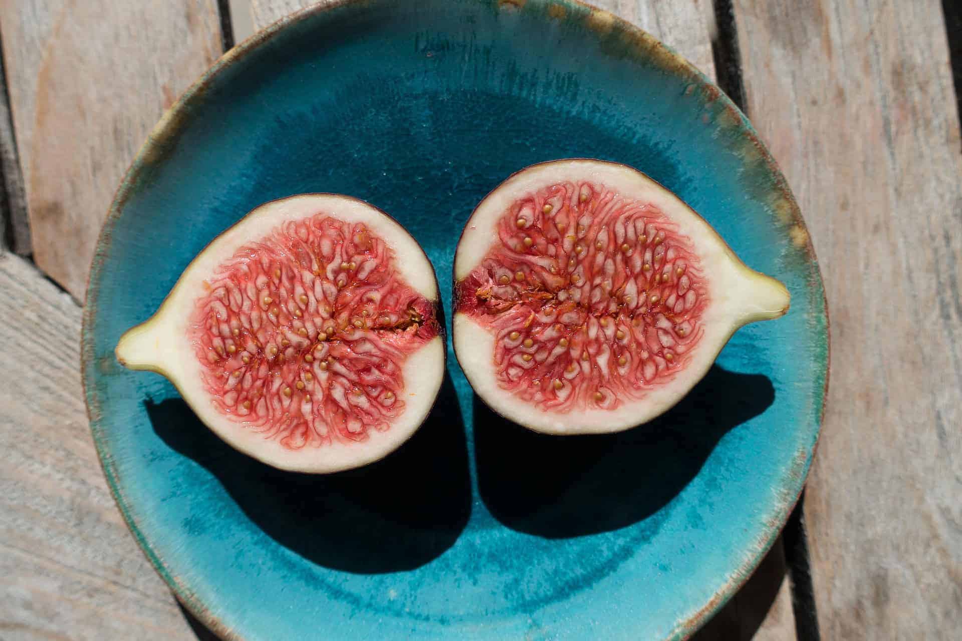 fasting fig plate