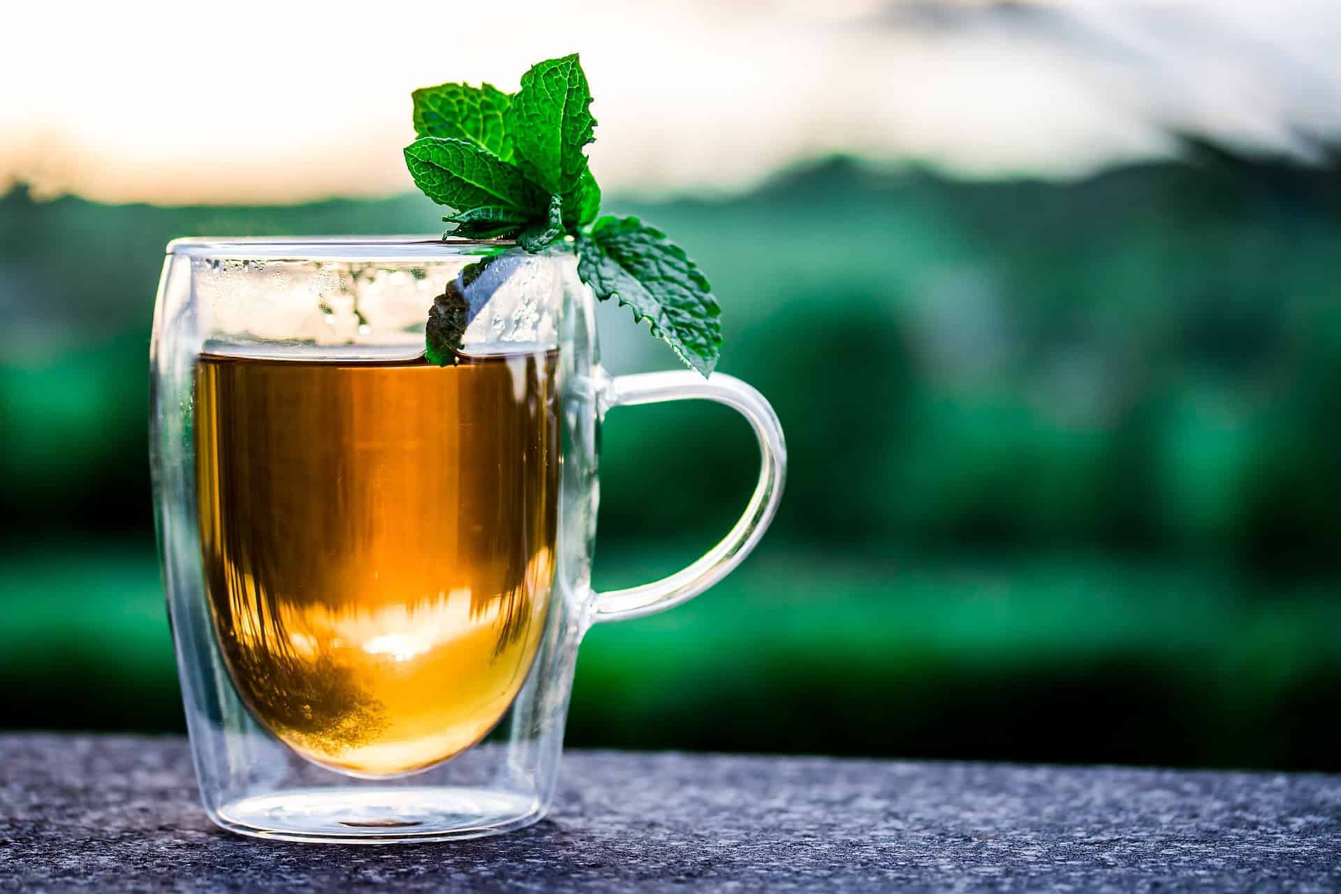 fasting mint tea mug